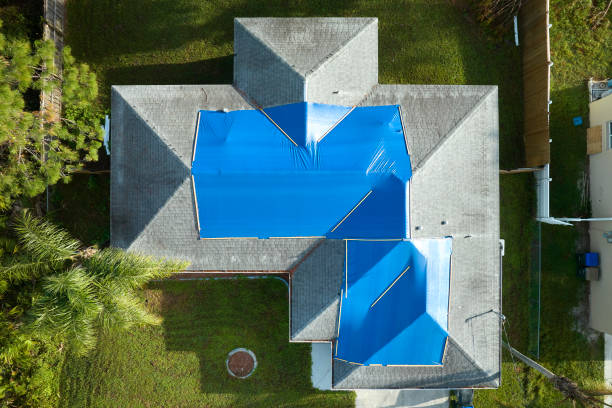 Best Roof Maintenance and Cleaning  in Isanti, MN