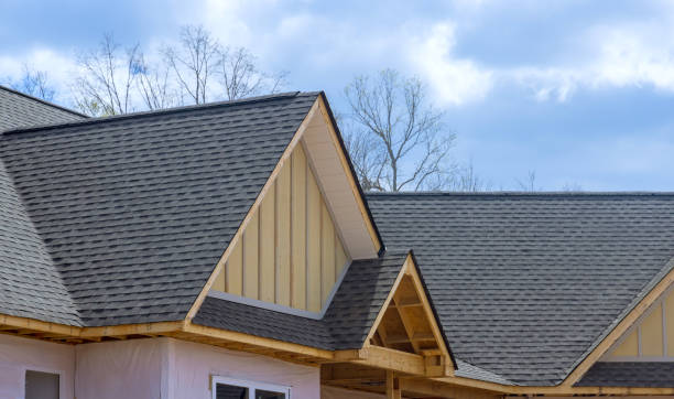Best Rubber Roofing (EPDM, TPO)  in Isanti, MN