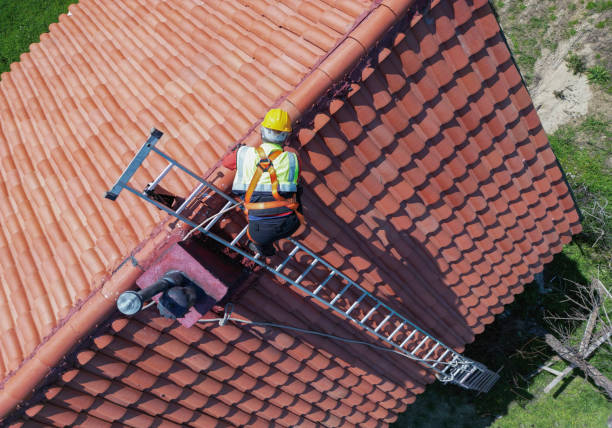 Best Roof Maintenance and Cleaning  in Isanti, MN